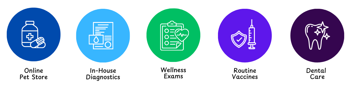 best veterinarian Ellicott City